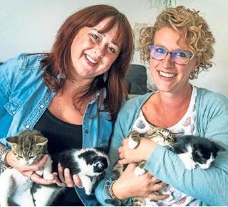 Steun kleinschalige opvang 'Opvang Kitten' met een krabpaal