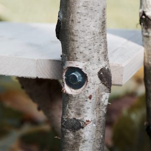 Detail kwaliteit van krabpalenvanhout.nl