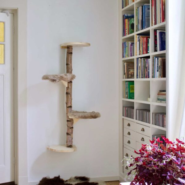 Muurkrabpaal Burmees 135 cm