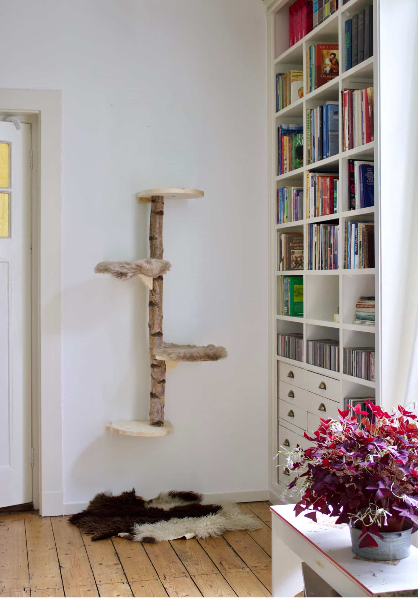 Muurkrabpaal Burmees 135 cm