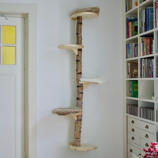 Muurkrabpaal Burmees 175 cm