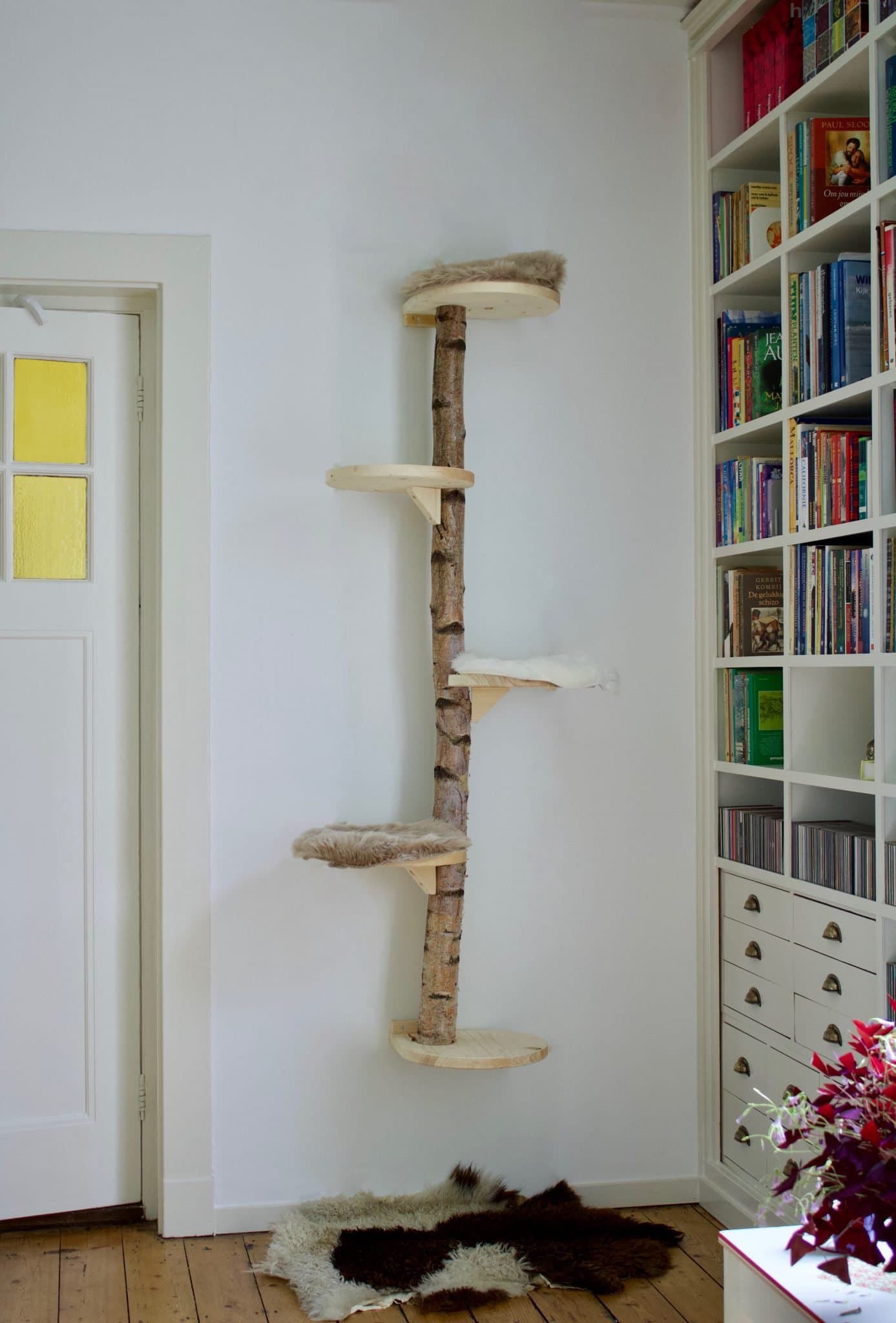 Muurkrabpaal Burmees 175 cm