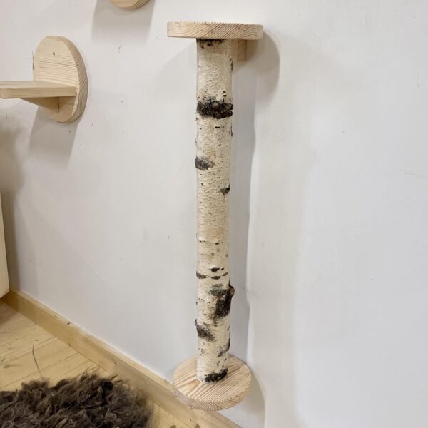 Loopstam/krabpaal klimmuur