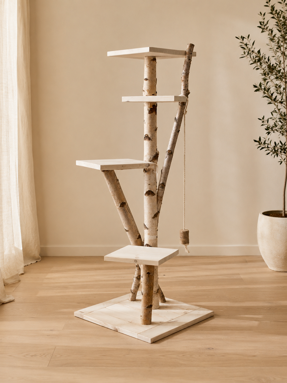 Krabpaal Ragdoll – 3 tussenplateaus